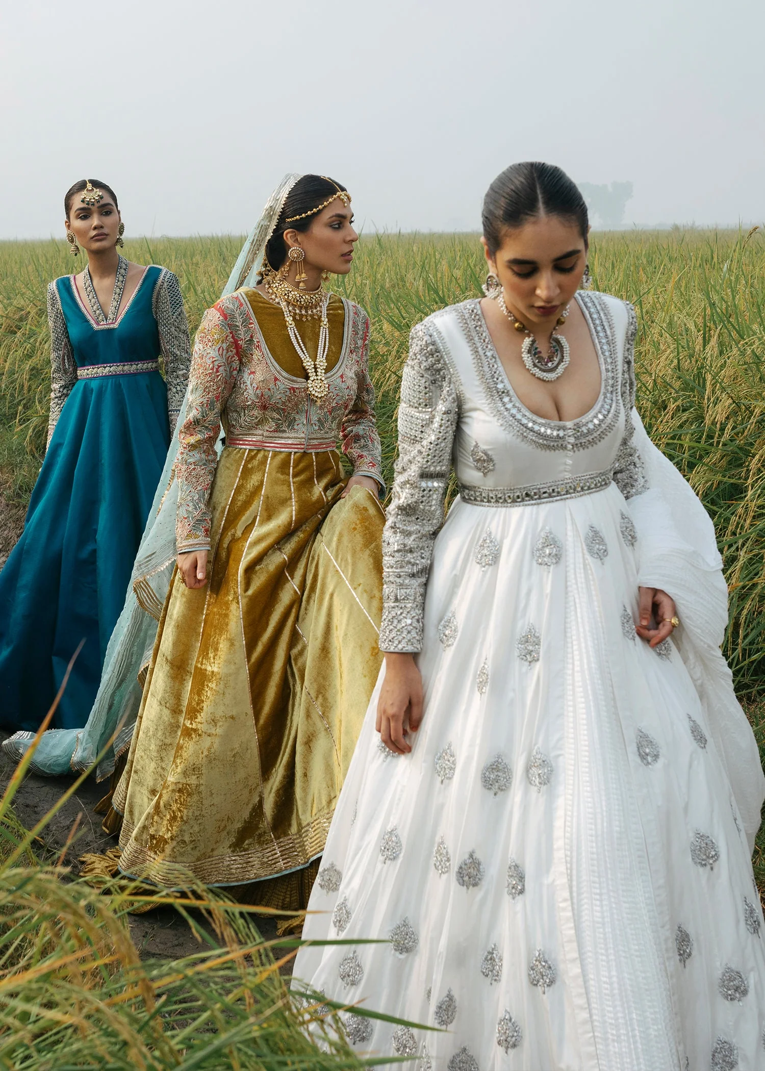 Chandni - Image 3