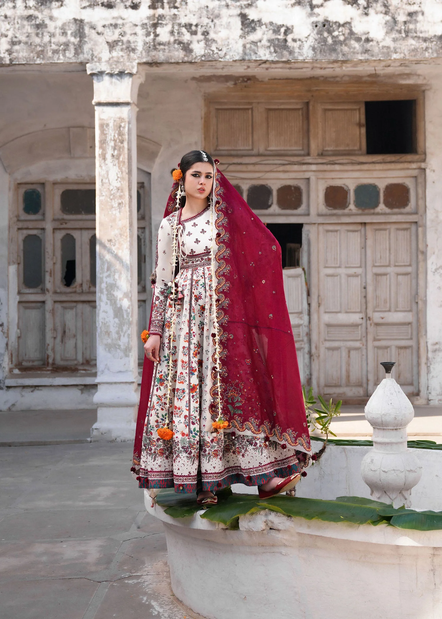 Gul Pari - Image 5